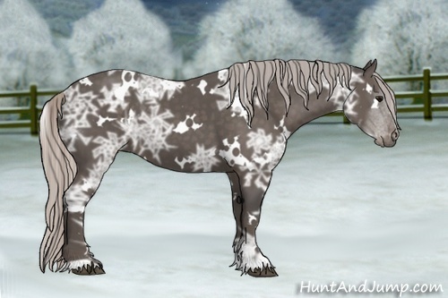 Horse Color:White Spotted Silver Black Ice