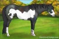 Horse Color:Black Frame