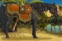 Horse Color:Brown Rabicano  Brindle