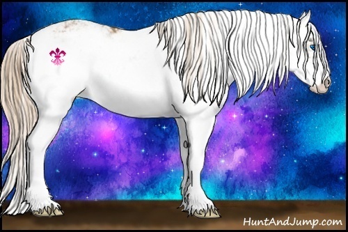 Horse Color:Chestnut Sabino Splash 