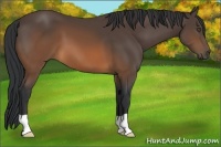 Horse Color:Brown 