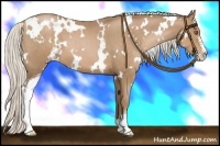 Horse Color:White Spotted Silver Black Pearl Sabino