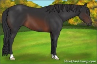 Horse Color:Brown 