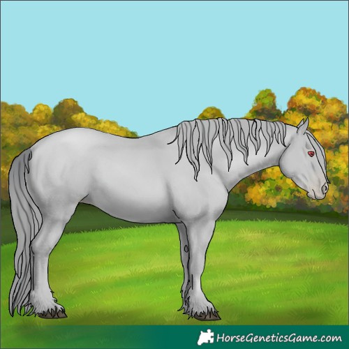 Horse Color:Black Chinchilla Pearl  Brindle