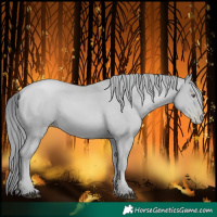 Horse Color:Black Chinchilla Pearl  Brindle