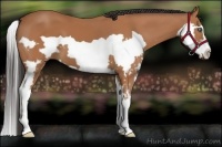 Horse Color:Bay Splash Frame 