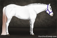 Horse Color:Brown Varnish 