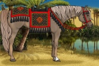 Horse Color:Chocolate Palomino Roan 
