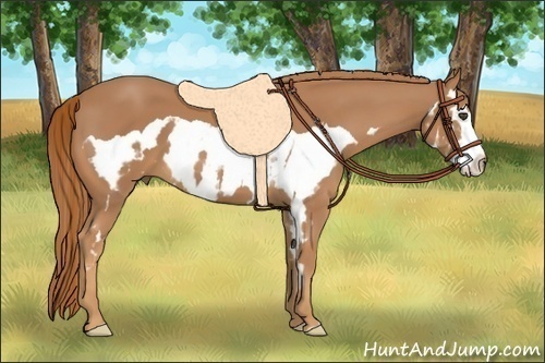 Horse Color:Chestnut Splash Frame 