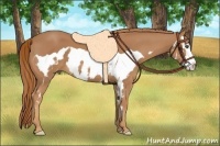 Horse Color:Chestnut Splash Frame