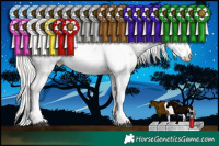 Horse Color:Silver Black Pearl Sabino