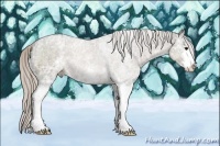 Horse Color:White Spotted Silver Black Ice Sabino 