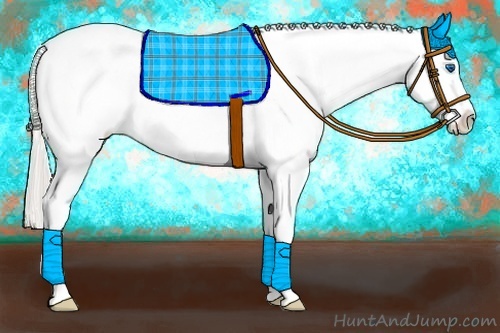 Horse Color:Silver Amber Champagne Roan Dun Splash Tobiano Frame Varnish Rabicano 