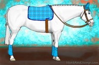 Horse Color:Silver Amber Champagne Roan Dun Splash Tobiano Frame Varnish Rabicano