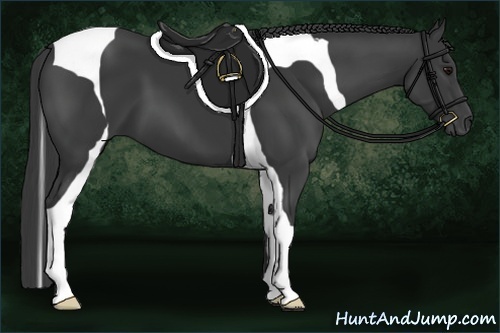 Horse Color:Smoky Black Tobiano