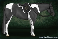 Horse Color:Smoky Black Tobiano