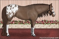 Horse Color:White Spotted Liver Red Roan Varnish 