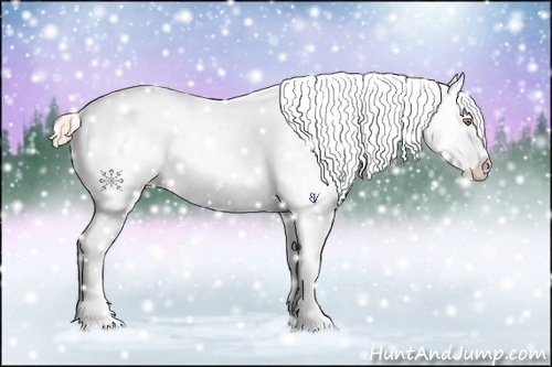 Horse Color:White Spotted Chestnut Pearl Sabino Frame Appaloosa 