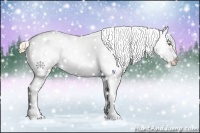 Horse Color:White Spotted Chestnut Pearl Sabino Frame Appaloosa 