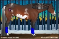 Horse Color:White Spotted Bay Sabino Frame 