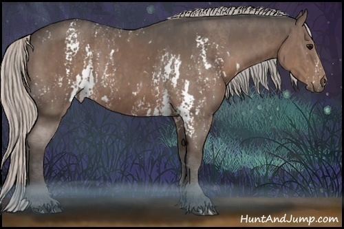 Horse Color:White Spotted Silver Black  Brindle