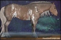Horse Color:White Spotted Silver Black  Brindle