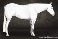 Horse Color:Gold Champagne Roan Dun Splash Tobiano Frame Blanket Rabicano