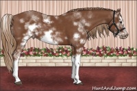 Horse Color:Chestnut Sabino Frame 