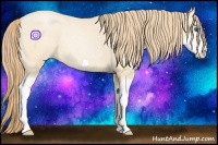 Horse Color:Buckskin Pearl Splash Frame