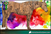 Horse Color:Liver Chestnut  Brindle