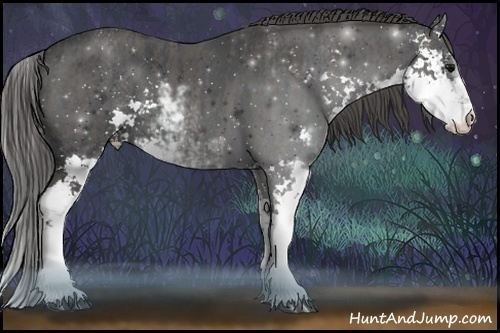 Horse Color:Black Sabino  Brindle
