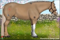 Horse Color:Palomino