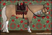 Horse Color:Silver Buckskin 