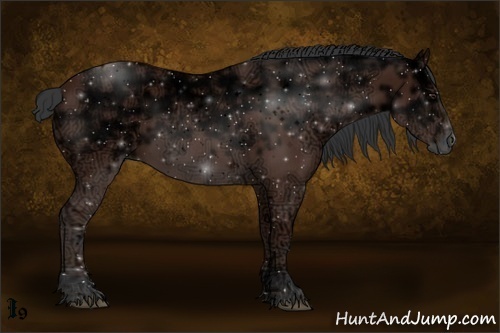 Horse Color:Bay Ice Sabino