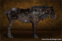 Horse Color:Bay Ice Sabino