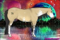 Horse Color:Buckskin Dun Sabino