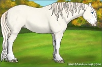 Horse Color:Perlino Dun Splash 