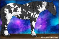 Horse Color:White Spotted Black