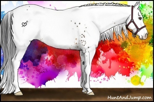 Horse Color:White Spotted Buckskin
