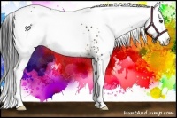 Horse Color:White Spotted Buckskin