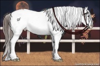 Horse Color:Liver Red Dun Sabino Varnish