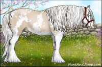 Horse Color:White Spotted Silver Smoky Black Pearl Splash 