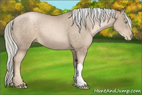 Horse Color:Chocolate Palomino Pearl