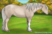 Horse Color:Chocolate Palomino Pearl 