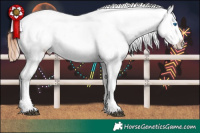 Horse Color:Bay Roan Splash Snowflake Varnish Rabicano 