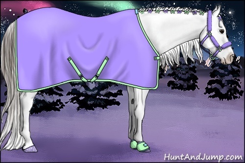 Horse Color:Smoky Black Blanket Rabicano 