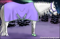 Horse Color:Smoky Black Blanket Rabicano 