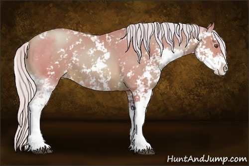 Horse Color:Watercolor Silver Brown Pearl Sabino