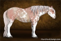 Horse Color:Watercolor Silver Brown Pearl Sabino 