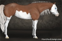 Horse Color:Silver Bay Roan Splash 